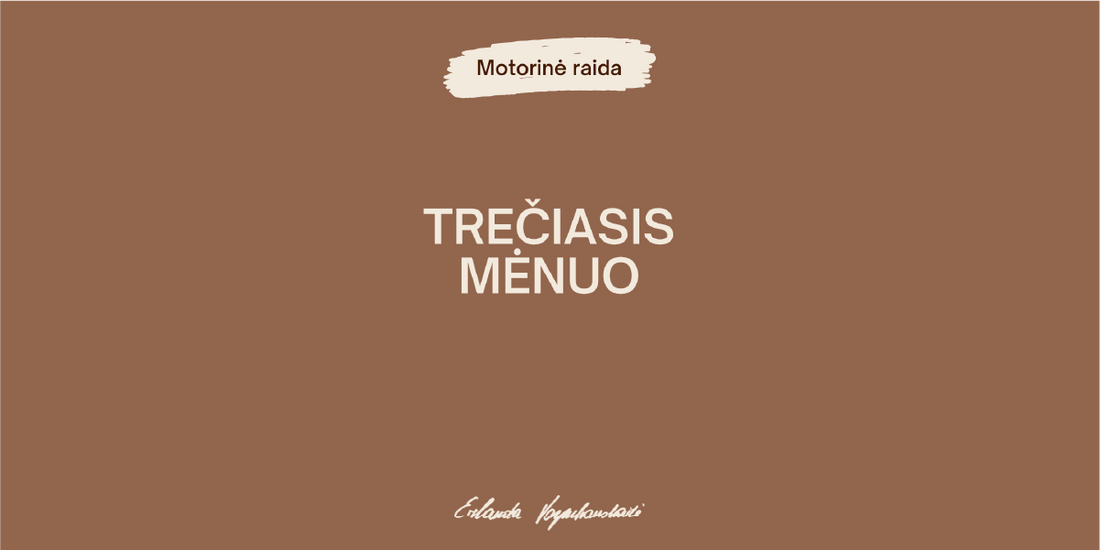 Trečiasis mėnuo